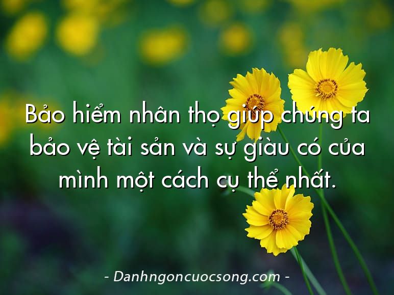 Bảo hiểm nhân thọ giúp chúng ta bảo vệ tài sản và sự giàu có của mình một cách cụ thể nhất.
