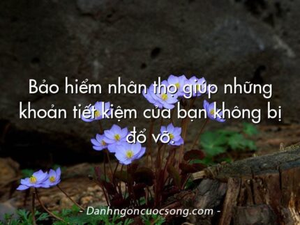 Bảo hiểm nhân thọ giúp những khoản tiết kiệm của bạn không bị đổ vỡ.