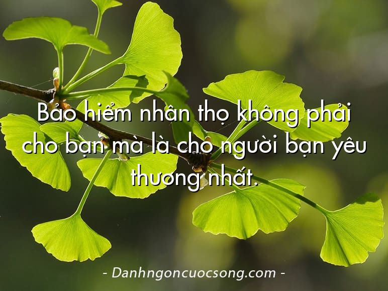 Bảo hiểm nhân thọ không phải cho bạn mà là cho người bạn yêu thương nhất.
