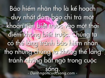 Bảo hiểm nhân thọ là kế hoạch duy nhất đảm bảo chi trả một khoản tiền biết trước vào một thời điểm không biết trước. Chúng ta có thể lảng tránh bảo hiểm nhân thọ nhưng chúng ta không thể lảng tránh những bất ngờ trong cuộc sống.