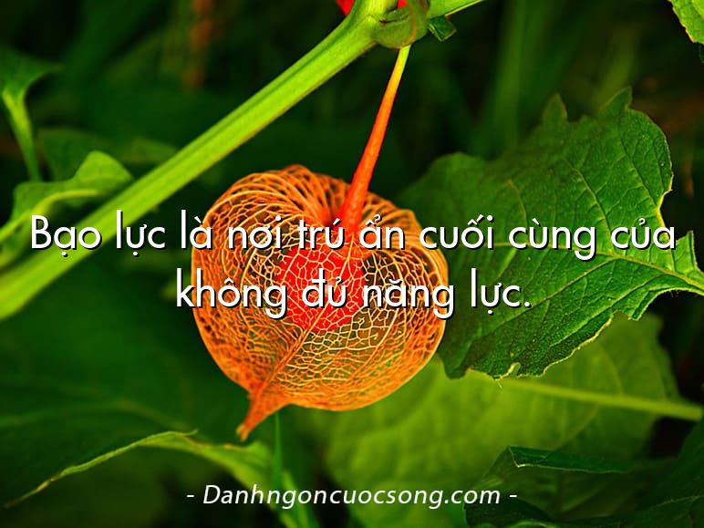 Bạo lực là nơi trú ẩn cuối cùng của không đủ năng lực.