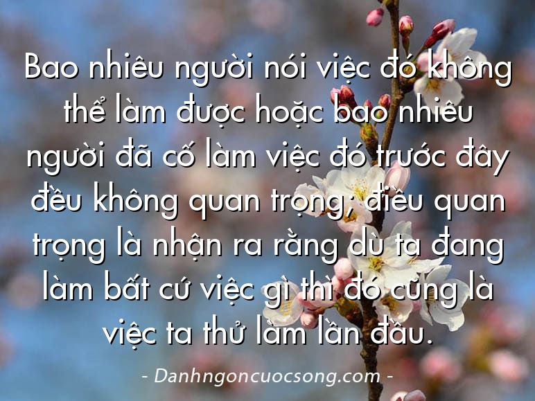 Bao nhiêu người nói việc đó không thể làm được hoặc bao nhiêu người đã cố làm việc đó trước đây đều không quan trọng; điều quan trọng là nhận ra rằng dù ta đang làm bất cứ việc gì thì đó cũng là việc ta thử làm lần đầu.