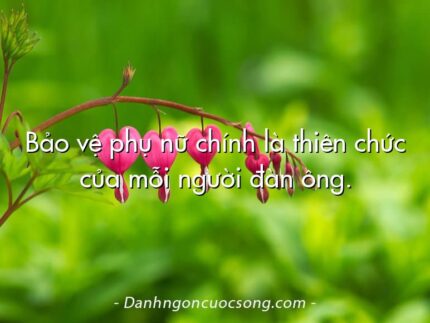 Bảo vệ phụ nữ chính là thiên chức của mỗi người đàn ông.