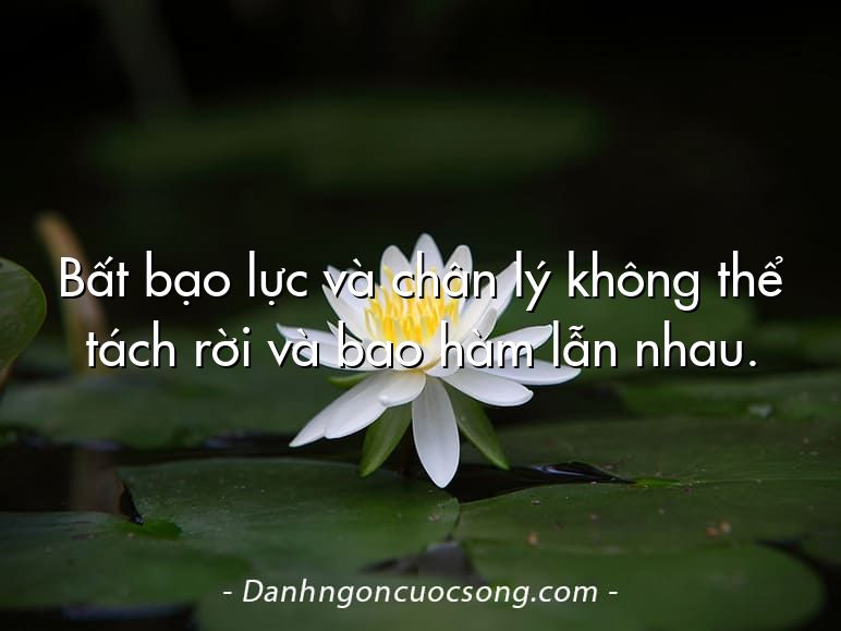 Bất bạo lực và chân lý không thể tách rời và bao hàm lẫn nhau.