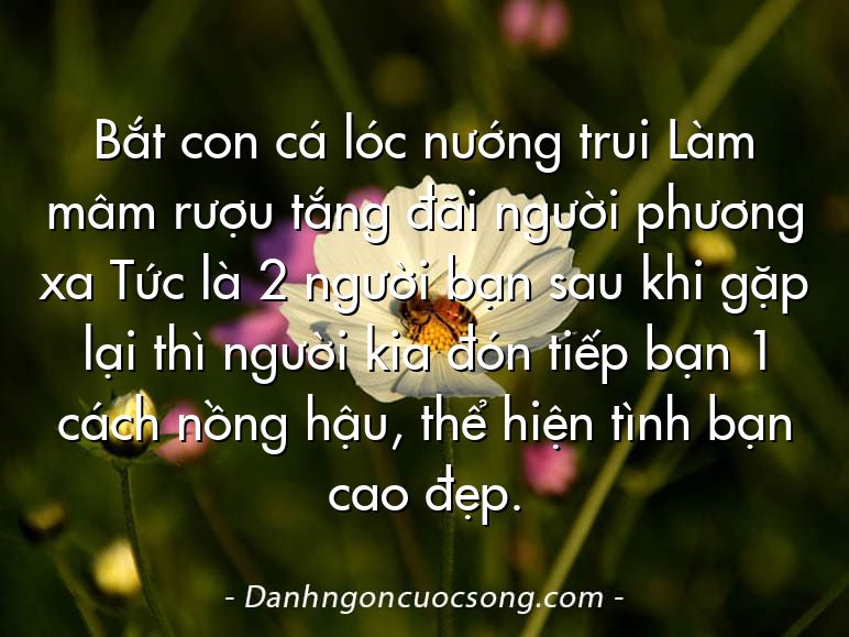 Bắt con cá lóc nướng trui Làm mâm rượu tắng đãi người phương xa Tức là 2 người bạn sau khi gặp lại thì người kia đón tiếp bạn 1 cách nồng hậu, thể hiện tình bạn cao đẹp.