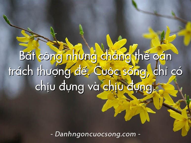 Bất công nhưng chẳng thể oán trách thượng đế. Cuộc sống, chỉ có chịu đựng và chịu đựng.