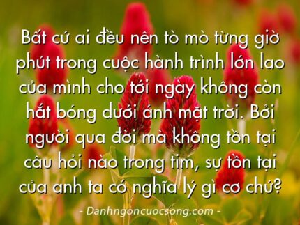 Bất cứ ai đều nên tò mò từng giờ phút trong cuộc hành trình lớn lao của mình cho tới ngày không còn hắt bóng dưới ánh mặt trời. Bởi người qua đời mà không tồn tại câu hỏi nào trong tim, sự tồn tại của anh ta có nghĩa lý gì cơ chứ?
