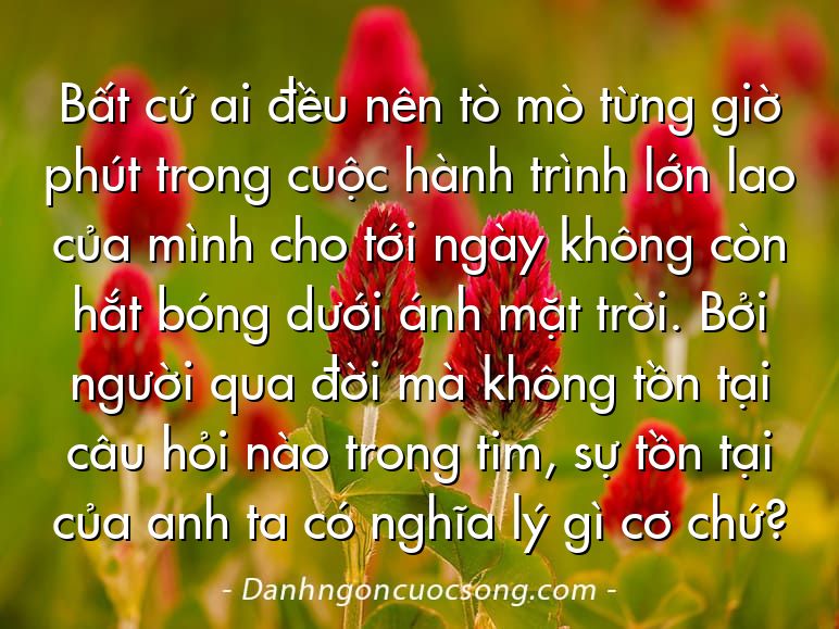 Bất cứ ai đều nên tò mò từng giờ phút trong cuộc hành trình lớn lao của mình cho tới ngày không còn hắt bóng dưới ánh mặt trời. Bởi người qua đời mà không tồn tại câu hỏi nào trong tim, sự tồn tại của anh ta có nghĩa lý gì cơ chứ?