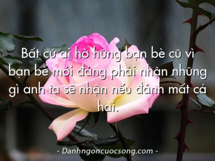 Bất cứ ai hờ hững bạn bè cũ vì bạn bè mới đáng phải nhận những gì anh ta sẽ nhận nếu đánh mất cả hai.