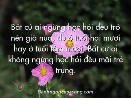 Bất cứ ai ngừng học hỏi đều trở nên già nua, dù ở tuổi hai mươi hay ở tuổi tám mươi. Bất cứ ai không ngừng học hỏi đều mãi trẻ trung.