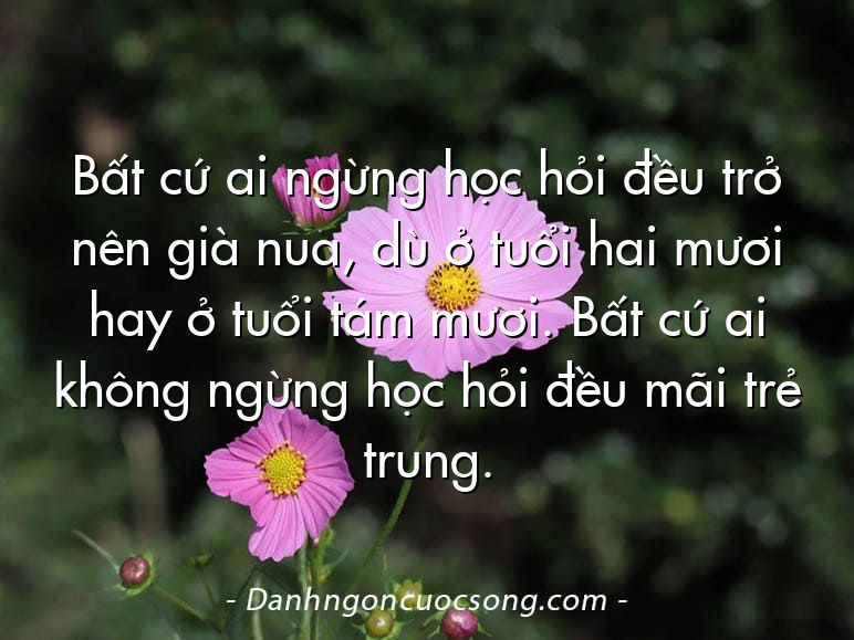 Bất cứ ai ngừng học hỏi đều trở nên già nua, dù ở tuổi hai mươi hay ở tuổi tám mươi. Bất cứ ai không ngừng học hỏi đều mãi trẻ trung.