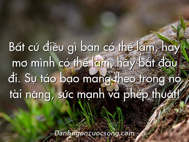 Bất cứ điều gì bạn có thể làm, hay mơ mình có thể làm, hãy bắt đầu đi. Sự táo bạo mang theo trong nó tài năng, sức mạnh và phép thuật!