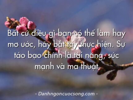 Bất cứ điều gì bạn có thể làm hay mơ ước, hãy bắt tay thực hiện. Sự táo bạo chính là tài năng, sức mạnh và ma thuật