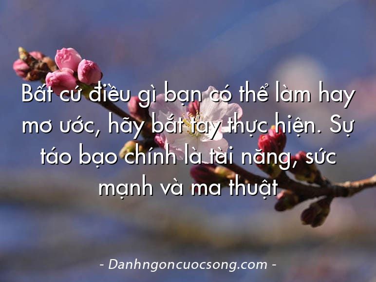 Bất cứ điều gì bạn có thể làm hay mơ ước, hãy bắt tay thực hiện. Sự táo bạo chính là tài năng, sức mạnh và ma thuật