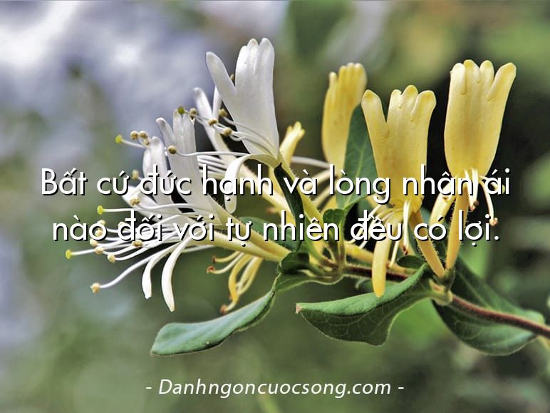 Bất cứ đức hạnh và lòng nhân ái nào đối với tự nhiên đều có lợi.