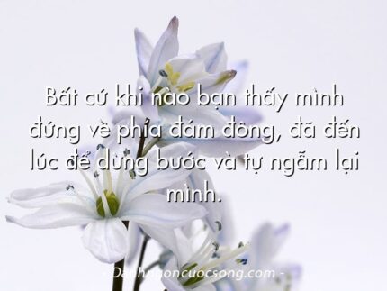 Bất cứ khi nào bạn thấy mình đứng về phía đám đông, đã đến lúc để dừng bước và tự ngẫm lại mình.