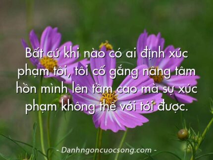 Bất cứ khi nào có ai định xúc phạm tôi, tôi cố gắng nâng tâm hồn mình lên tầm cao mà sự xúc phạm không thể với tới được.