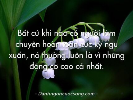 Bất cứ khi nào có người làm chuyện hoàn toàn cực kỳ ngu xuẩn, nó thường luôn là vì những động cơ cao cả nhất.