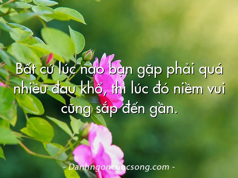 Bất cứ lúc nào bạn gặp phải quá nhiều đau khổ, thì lúc đó niềm vui cũng sắp đến gần.