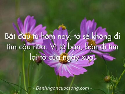Bắt đầu từ hôm nay, tớ sẽ không đi tìm cậu nữa. Vì tớ bận, bận đi tìm lại tớ của ngày xưa.