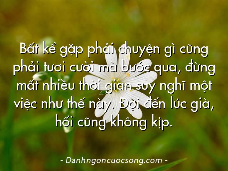 Bất kể gặp phải chuyện gì cũng phải tươi cười mà bước qua, đừng mất nhiều thời gian suy nghĩ một việc như thế này. Đợi đến lúc già, hối cũng không kịp.