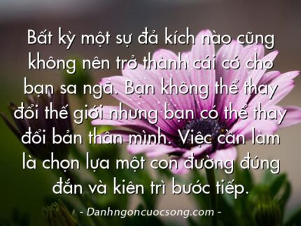 Bất kỳ một sự đả kích nào cũng không nên trở thành cái cớ cho bạn sa ngã. Bạn không thể thay đổi thế giới nhưng bạn có thể thay đổi bản thân mình. Việc cần làm là chọn lựa một con đường đúng đắn và kiên trì bước tiếp.