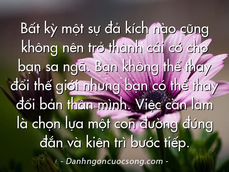 Bất kỳ một sự đả kích nào cũng không nên trở thành cái cớ cho bạn sa ngã. Bạn không thể thay đổi thế giới nhưng bạn có thể thay đổi bản thân mình. Việc cần làm là chọn lựa một con đường đúng đắn và kiên trì bước tiếp.