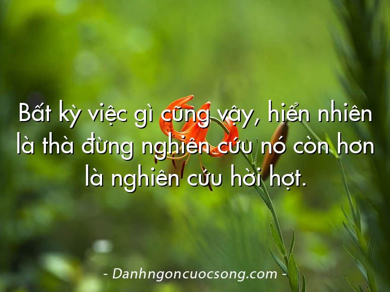 Bất kỳ việc gì cũng vậy, hiển nhiên là thà đừng nghiên cứu nó còn hơn là nghiên cứu hời hợt.