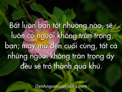 Bất luận bạn tốt nhường nào, sẽ luôn có người không trân trọng bạn; may mà đến cuối cùng, tất cả những người không trân trọng ấy đều sẽ trở thành quá khứ.
