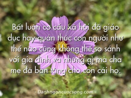 Bất luận cơ cấu xã hội đã giáo dục hay quản thúc con người như thế nào cũng không thể so sánh với gia đình và những gì mà cha mẹ đã ban tặng cho con cái họ.
