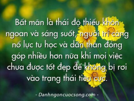 Bất mãn là thái độ thiếu khôn ngoan và sáng suốt, người trí càng nổ lực tu học và dấn thân đóng góp nhiều hơn nữa khi mọi việc chưa được tốt đẹp để không bị rơi vào trạng thái tiêu cực.