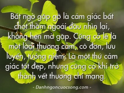 Bất ngờ gặp gỡ là cảm giác bất chợt thầm ngoái đầu nhìn lại, không hẹn mà gặp. Cũng có lẽ là một loại thương cảm, cô đơn, lưu luyến, tưởng niệm. Là một thứ cảm giác tốt đẹp, nhưng cũng có khi trở thành vết thương chí mạng.