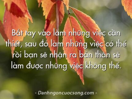 Bắt tay vào làm những việc cần thiết, sau đó làm những việc có thể rồi bạn sẽ nhận ra bản thân sẽ làm được những việc không thể.