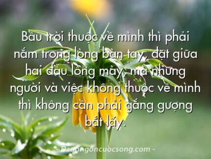 Bầu trời thuộc về mình thì phải nắm trong lòng bàn tay, đặt giữa hai đầu lông mày, mà những người và việc không thuộc về mình thì không cần phải gắng gượng bắt lấy.