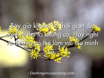Bây giờ không có thời gian để nghĩ về thứ ta không có. Hãy nghĩ về điều ta có thể làm với thứ mình có.