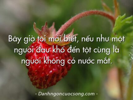 Bây giờ tôi mới biết, nếu như một người đau khổ đến tột cùng là người không có nước mắt.