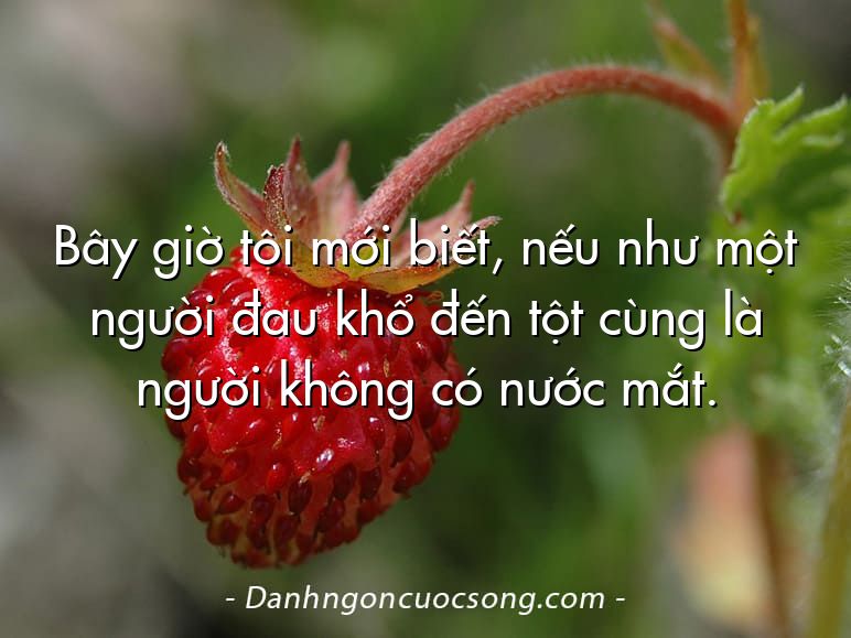 Bây giờ tôi mới biết, nếu như một người đau khổ đến tột cùng là người không có nước mắt.