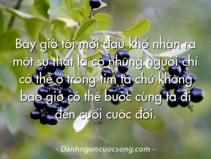 Bây giờ tôi mới đau khổ nhận ra một sự thật là có những người chỉ có thể ở trong tim ta chứ không bao giờ có thể bước cùng ta đi đến cuối cuộc đời.