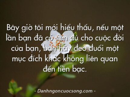Bây giờ tôi mới hiểu thấu, nếu một lần bạn đã có tiền đủ cho cuộc đời của bạn, bạn hãy đeo đuổi một mục đích khác không liên quan đến tiền bạc.