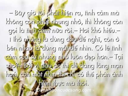 – Bây giờ tôi phát hiện ra, tình cảm mà không còn phải nhung nhớ, thì không còn gọi là tình cảm nữa rồi.– Hơi khó hiểu.– Nhớ nhung là dùng đầu để nghĩ, còn ở bên nhau là dùng mắt để nhìn. Có lẽ tình cảm của sự nhung nhớ luôn đẹp hơn.– Tại sao?– Bởi vì đầu óc thì dễ dàng lãng mạn hoá, còn mắt nhìn thì chỉ có thể phản ánh hiện thực mà thôi.