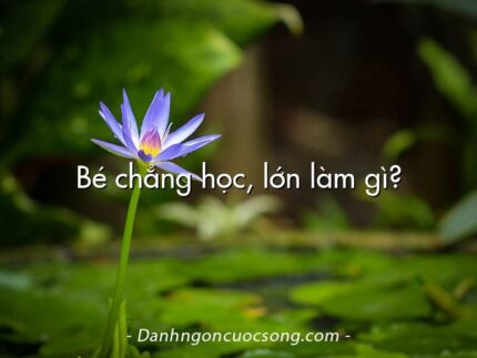 Bé chẳng học, lớn làm gì?