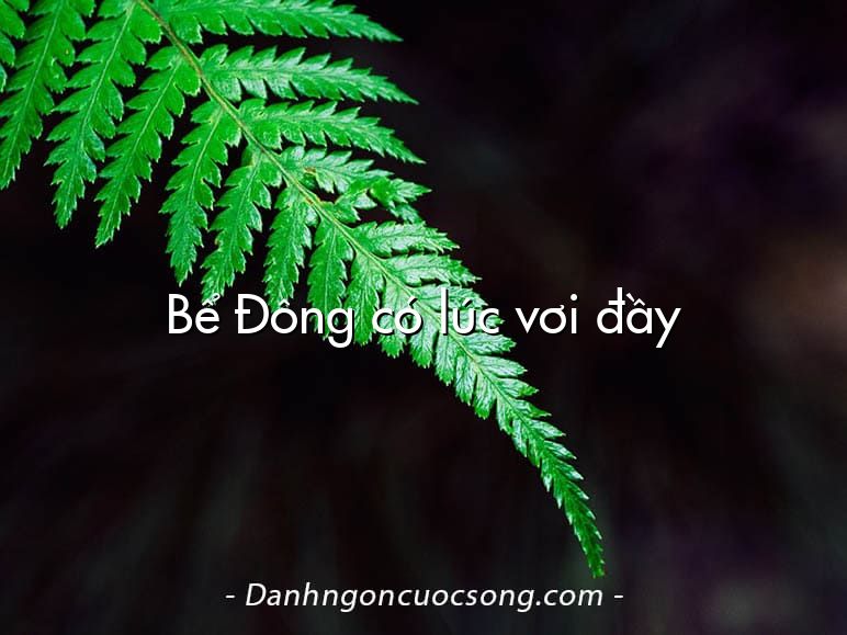 Bể Đông có lúc vơi đầy