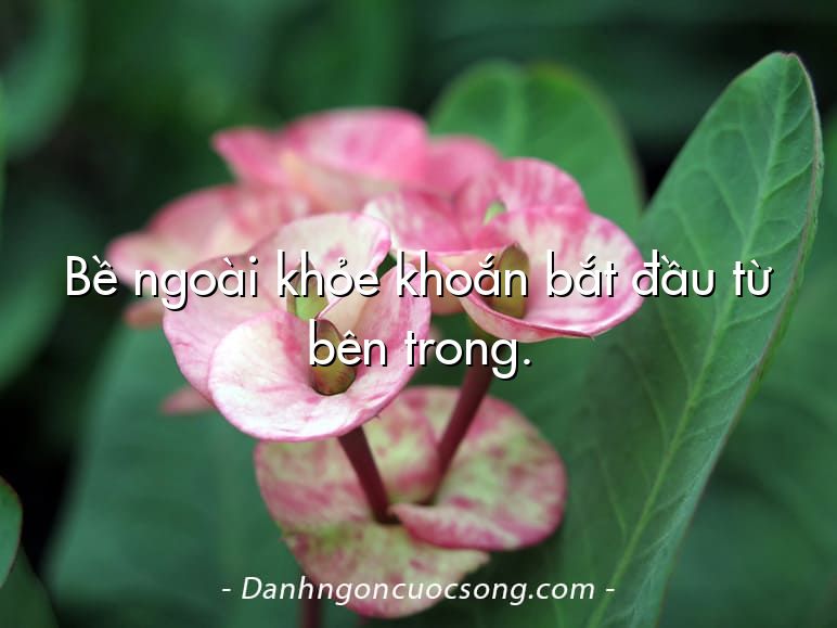 Bề ngoài khỏe khoắn bắt đầu từ bên trong.