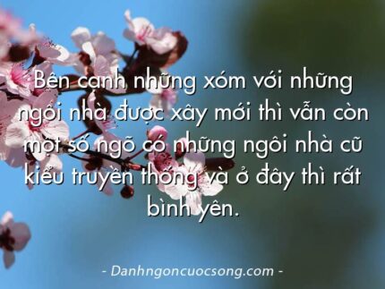 Bên cạnh những xóm với những ngôi nhà được xây mới thì vẫn còn một số ngõ có những ngôi nhà cũ kiểu truyền thống và ở đây thì rất bình yên.