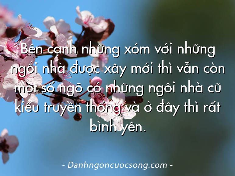Bên cạnh những xóm với những ngôi nhà được xây mới thì vẫn còn một số ngõ có những ngôi nhà cũ kiểu truyền thống và ở đây thì rất bình yên.