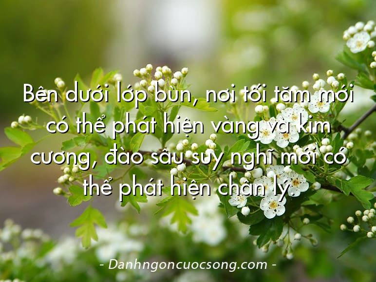 Bên dưới lớp bùn, nơi tối tăm mới có thể phát hiện vàng và kim cương, đào sâu suy nghĩ mới có thể phát hiện chân lý.