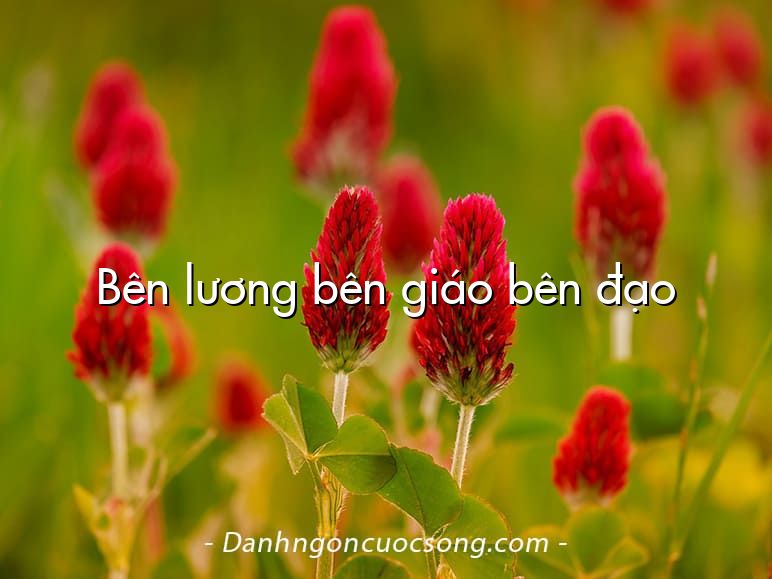 Bên lương bên giáo bên đạo