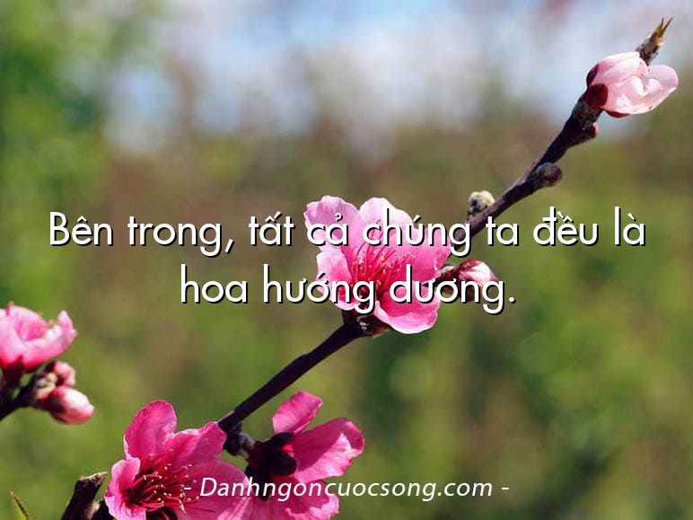 Bên trong, tất cả chúng ta đều là hoa hướng dương.