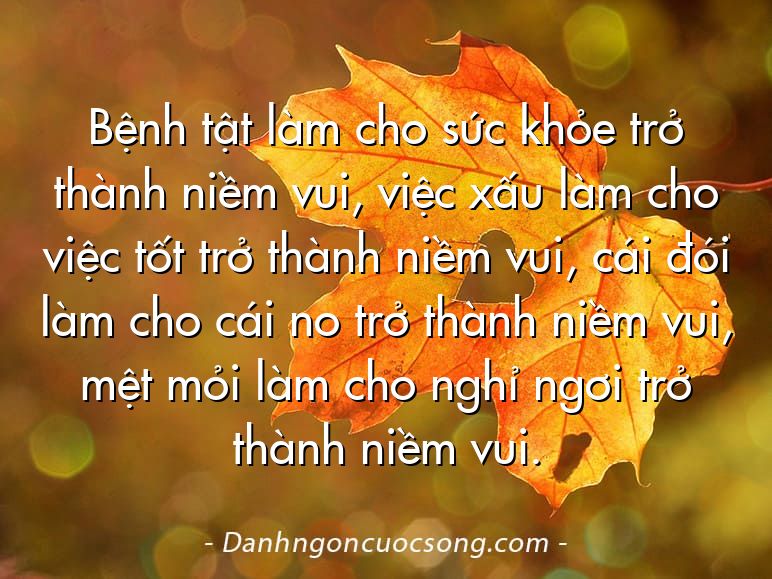 Bệnh tật làm cho sức khỏe trở thành niềm vui, việc xấu làm cho việc tốt trở thành niềm vui, cái đói làm cho cái no trở thành niềm vui, mệt mỏi làm cho nghỉ ngơi trở thành niềm vui.