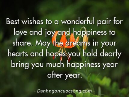 Best wishes to a wonderful pair for love and joy and happiness to share. May the dreams in your hearts and hopes you hold dearly bring you much happiness year after year.